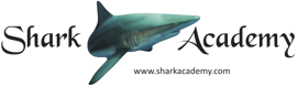 8e1658a81ead3b2385f4f832f952efed39bdb711