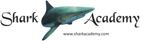 8e1658a81ead3b2385f4f832f952efed39bdb711