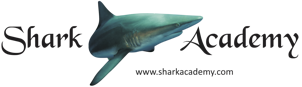 8e1658a81ead3b2385f4f832f952efed39bdb711