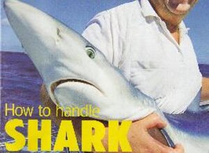 riv80.jpeg