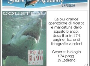 ita21.jpeg