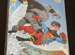 dc6.jpeg