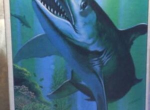 8e1658a81ead3b2385f4f832f952efed39bdb711