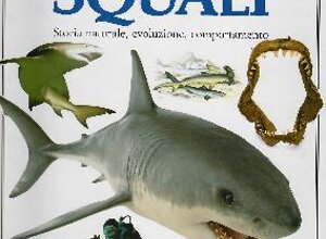ita15.jpeg