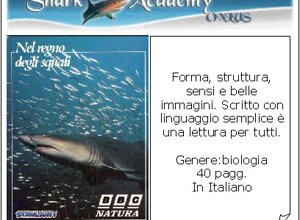 ita79.jpeg
