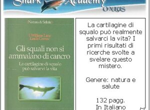 ita65.jpeg