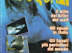 riv35.jpeg