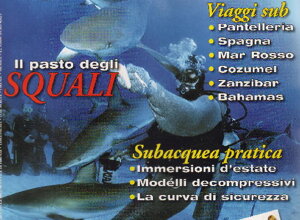 riv30.jpeg