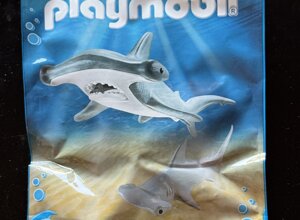 play2.jpeg