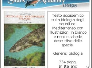 ita30.jpeg