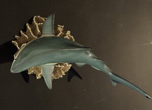 sol1.jpeg
