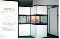 Pubblicità in campo dentale Pubblicità in campo dentale