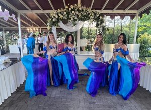 led%20show%20danza%20del%20ventre