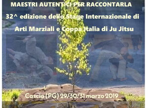 4bb24a363a90a3d2ec58804c02341fa137710a24