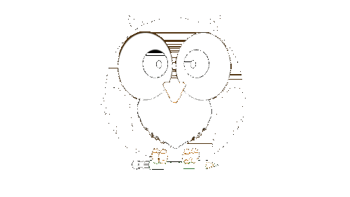 gufo-occhio-infinito