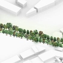 Tree Wall