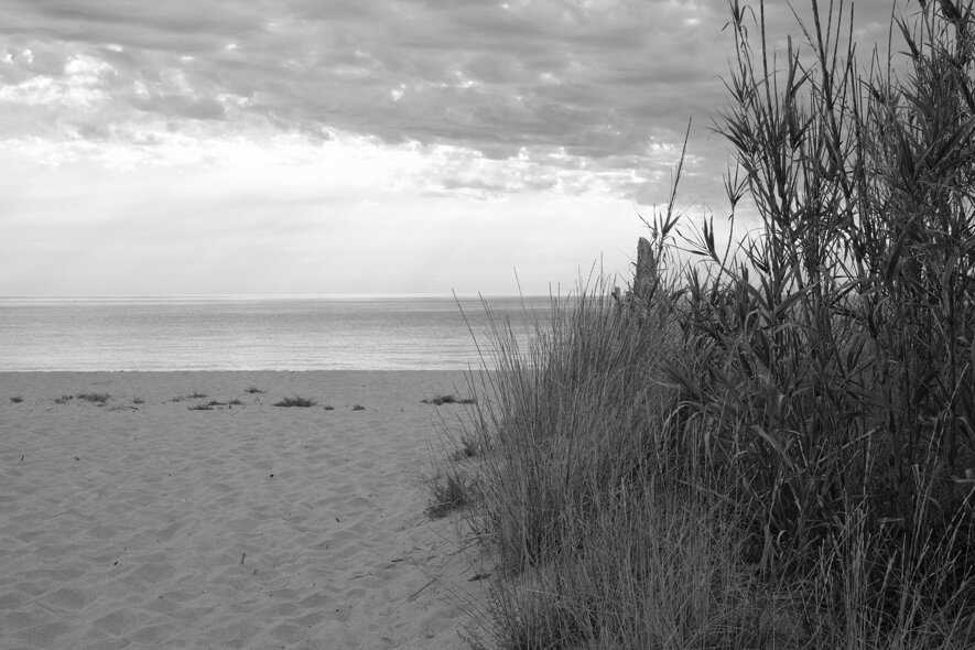 dscf2548.jpeg dscf2548.jpeg
