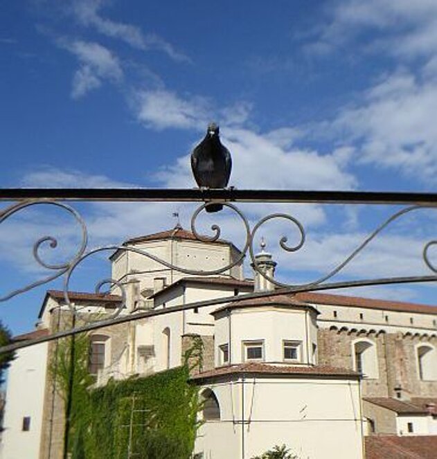 carmine-piccione-grande.jpeg carmine-piccione-grande.jpeg