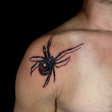 img_7290.jpeg img_7290.jpeg