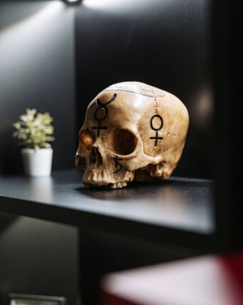 smek - foto studio-56.jpeg smek - foto studio-56.jpeg