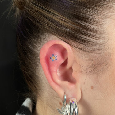 img_2798.jpeg img_2798.jpeg