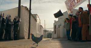 hen_15.jpeg hen_15.jpeg