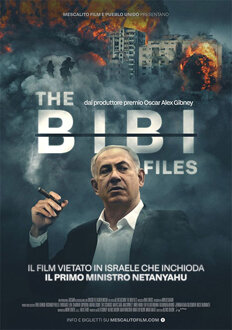 the bibi files.jpeg