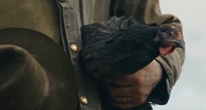 hen_10.jpeg hen_10.jpeg