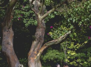 noc_sti-add-venice_1.jpeg noc_sti-add-venice_1.jpeg