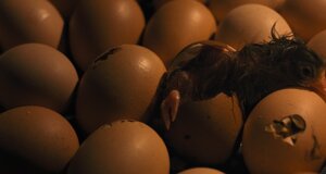 hen_5.jpeg hen_5.jpeg