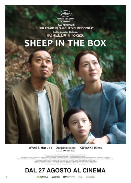 sheepinthebox_poster.jpeg