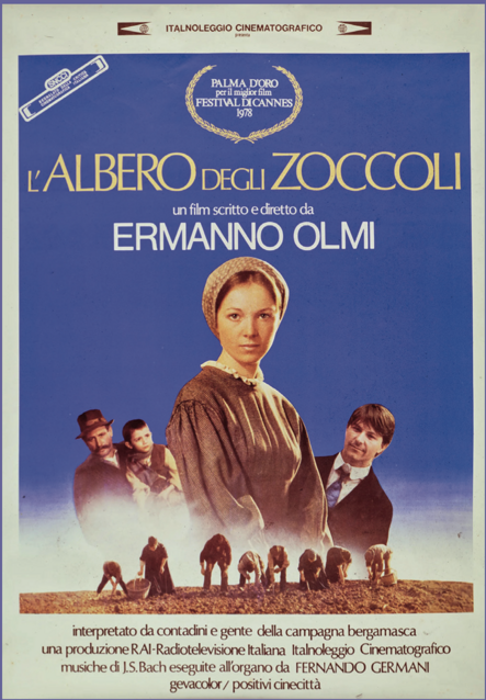 l'albero degli zoccoli l'albero degli zoccoli