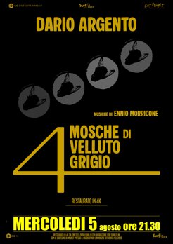 4moschevellutogrigio.jpeg