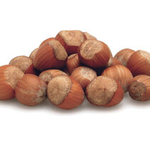 TRASPORTO FRUTTA IN GUSCIO