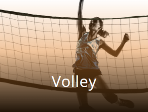 volley volley