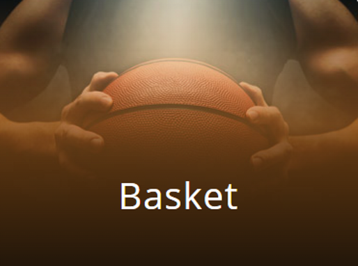 basket basket