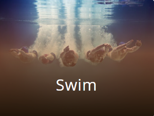 swim swim