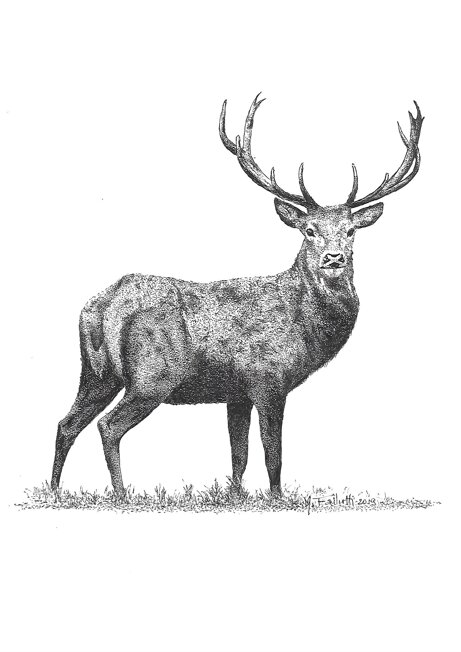 9d6ddccf930104bfe6faedd8c62ef077dfd46525 9d6ddccf930104bfe6faedd8c62ef077dfd46525