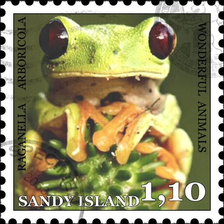 ce572c0d9fdc948034e85523862c81fae8eae5e6