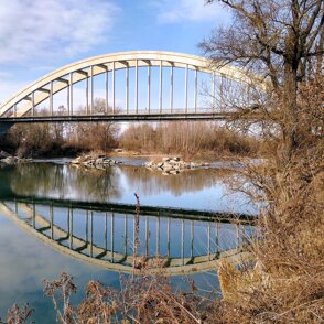 Nuovo Ponte sul Po a Carignano Progetto Fattibilità Tecnico-economica e Studio Preliminare Ambientale