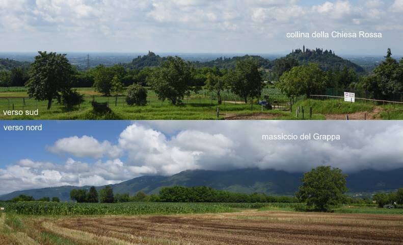 63d10437-ab53-4d42-b369-d4843d98d07c.jpg 63d10437-ab53-4d42-b369-d4843d98d07c.jpg