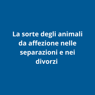 f81efab0652db5c1dad50cdd7e54a10dfec71a00