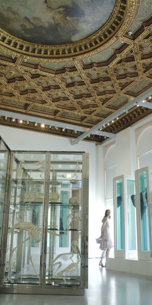 Palazzo Grassi Venezia Collezione PInault