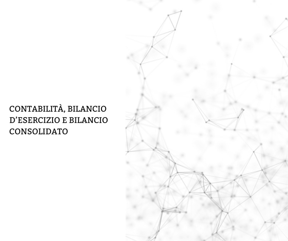 contabilit e bilancio d?esercizio e consolidato