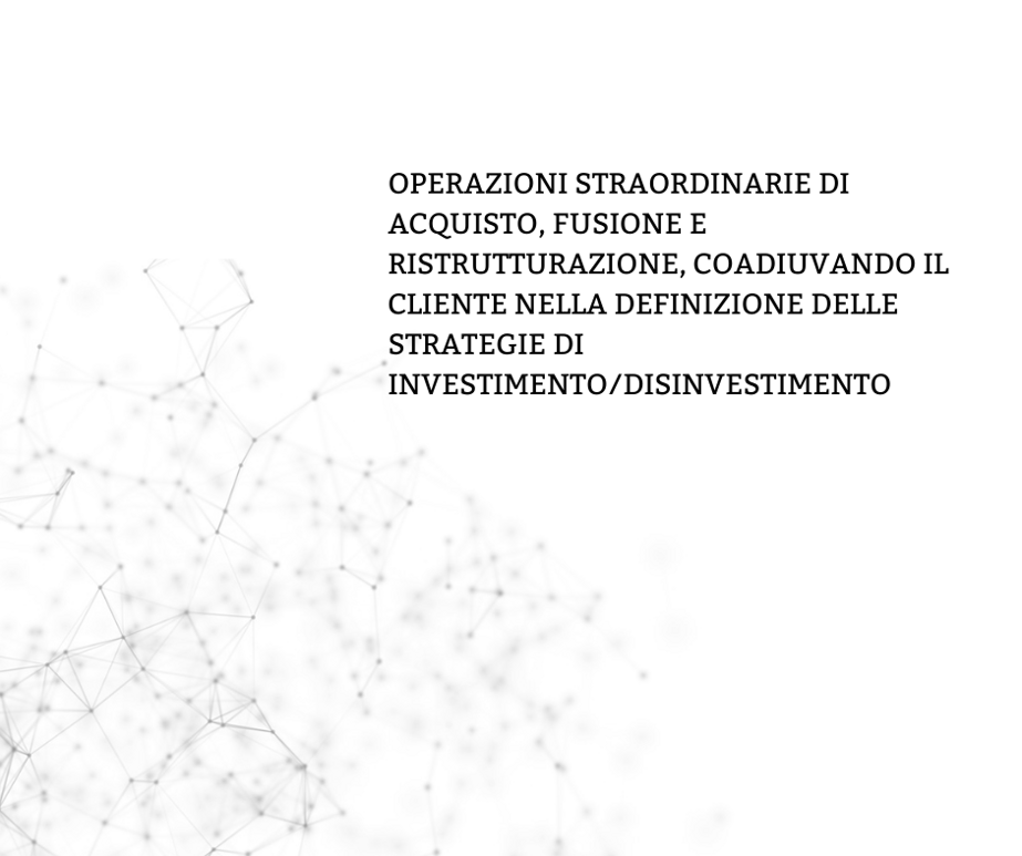 operazioni straordinarie, fusione e ristrutturazione, definizione strategie, investimento
