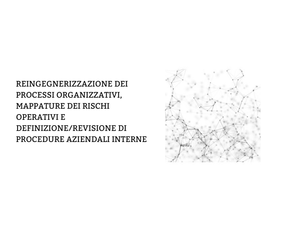 processi organizzativi, mappatura dei rischi operativi e procedure aziendali