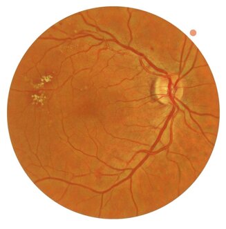 9216dfdcce07ba845f6d872a016f4880ca660bc3