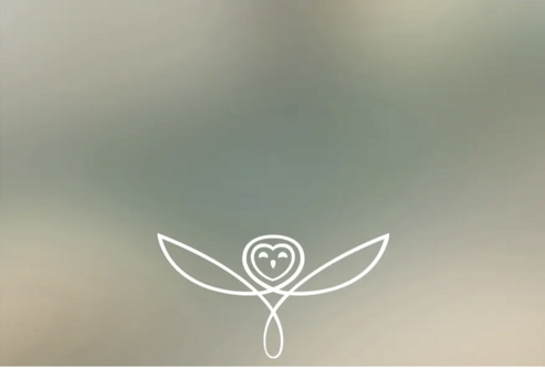 screenshot 2025-03-04 alle 13.03.16