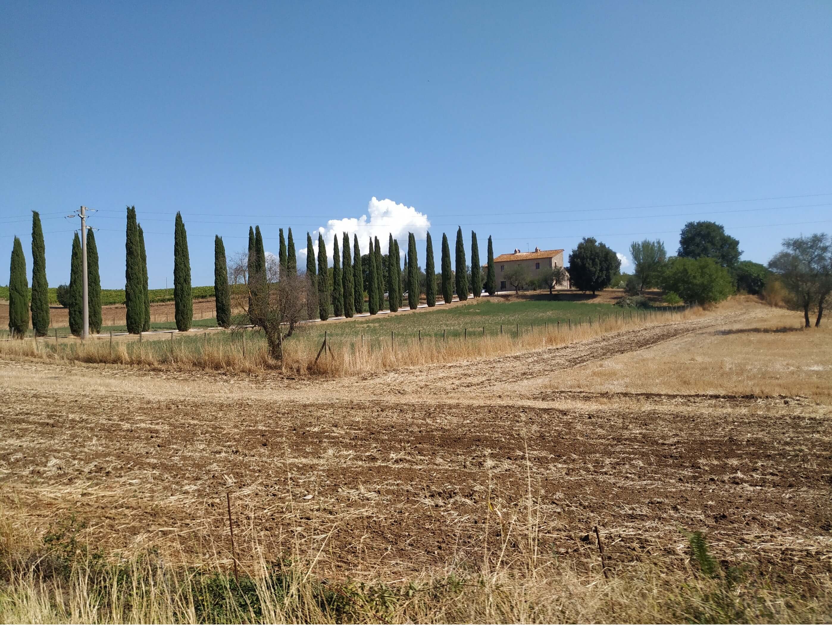 Agevolazioni fiscali per acquisti mortis causa di propriet&agrave; di fondi rustici nei territori montani (art. 9 DPR 601/73)