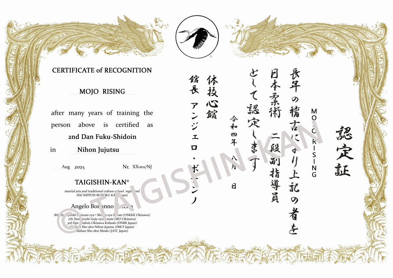 example of certificate of dan recognition.jpeg